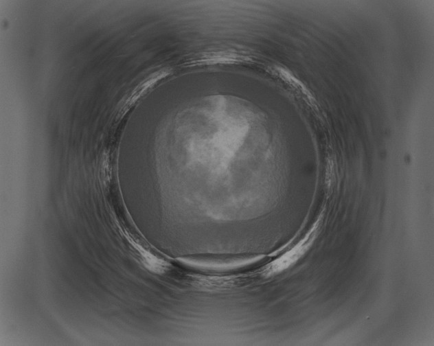 X0000087631353200705031435