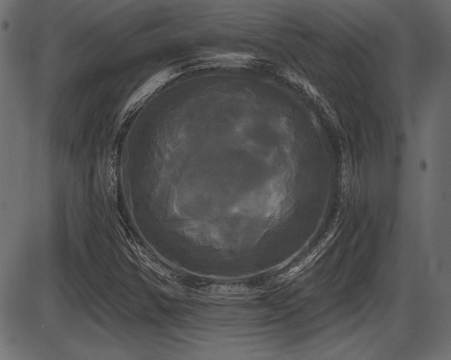 X0000087631354200705031435