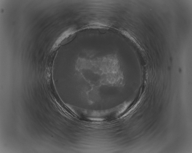 X0000087631355200705031435