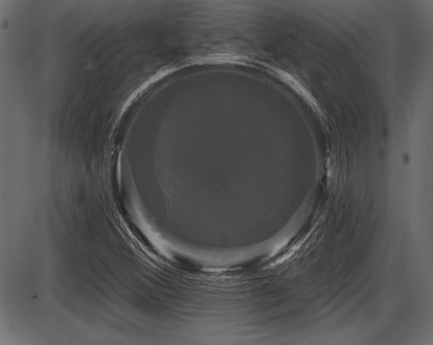 X0000087631356200705031435