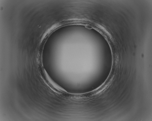 X0000087631357200705031435