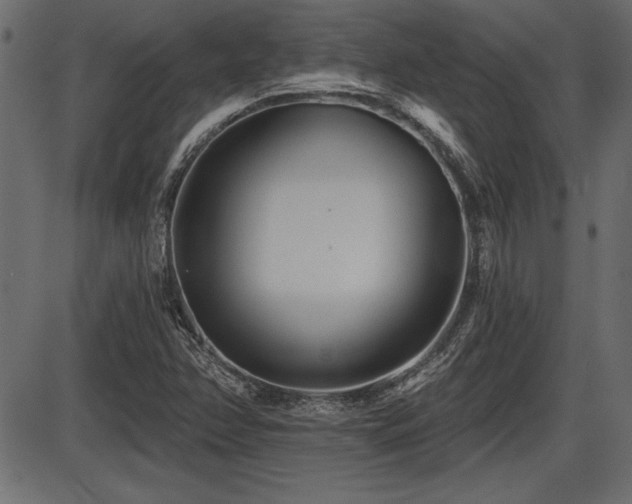X0000087631358200705031435