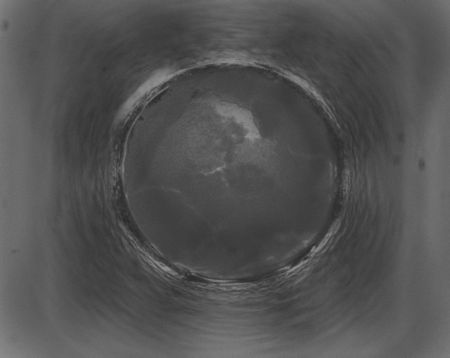 X0000087631359200705031435