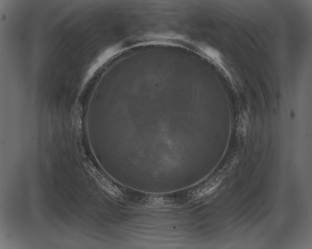 X0000087631360200705031435
