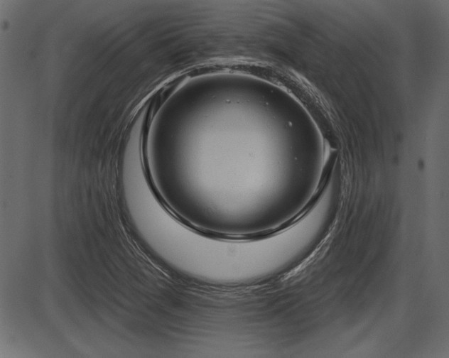 X0000087631361200705031435