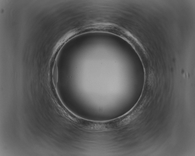 X0000087631362200705031435