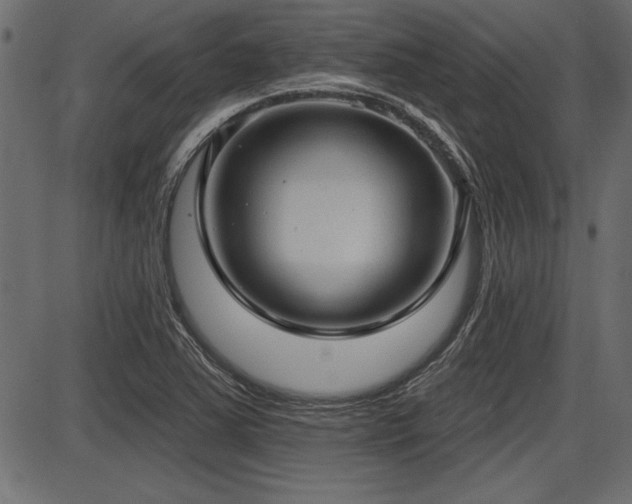 X0000087631363200705031435