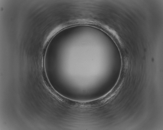X0000087631365200705031435