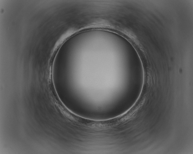 X0000087631366200705031435