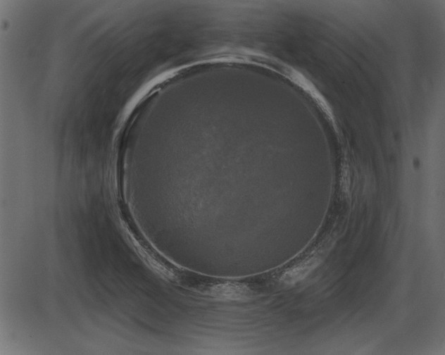 X0000087631368200705031435