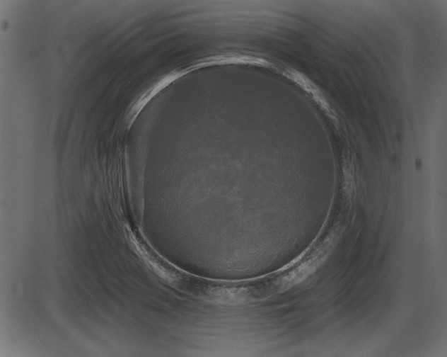 X0000087631369200705031435