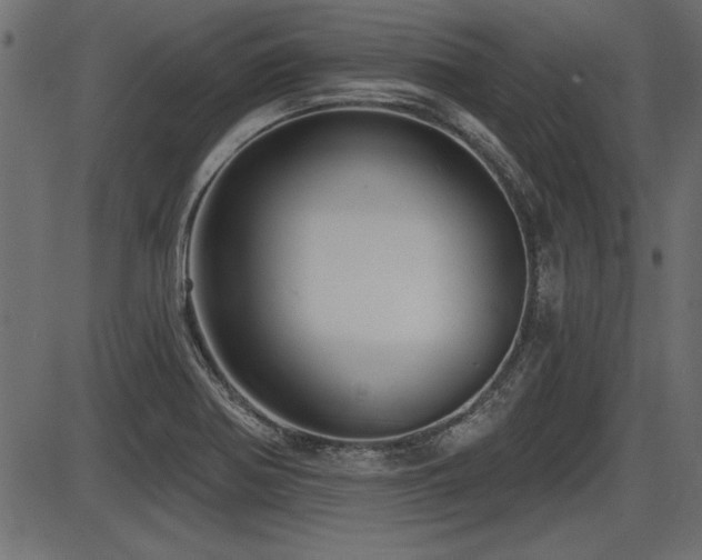 X0000087631370200705031435