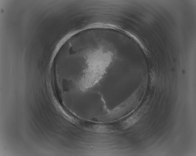 X0000087631371200705031435