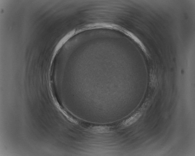 X0000087631373200705031435