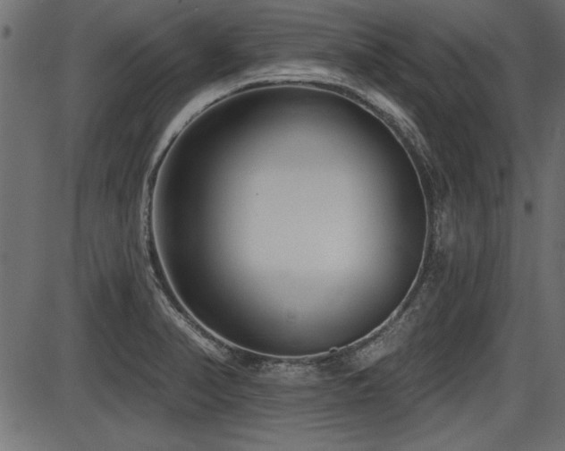 X0000087631374200705031435