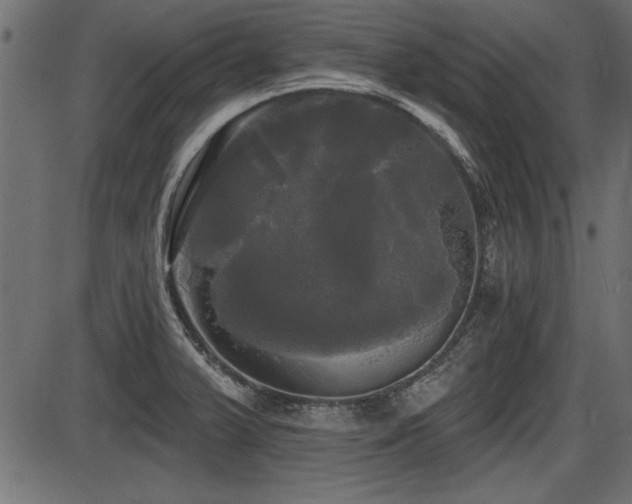 X0000087631375200705031435