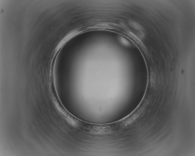 X0000087631378200705031435