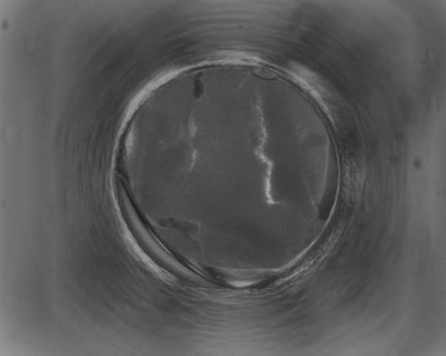 X0000087631379200705031435