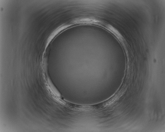 X0000087631392200705031434