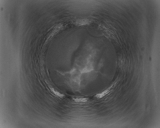 X0000087631393200705031434