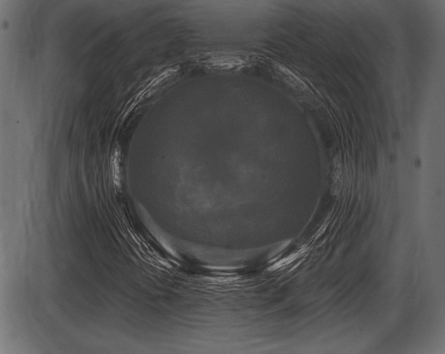 X0000087631394200705031434