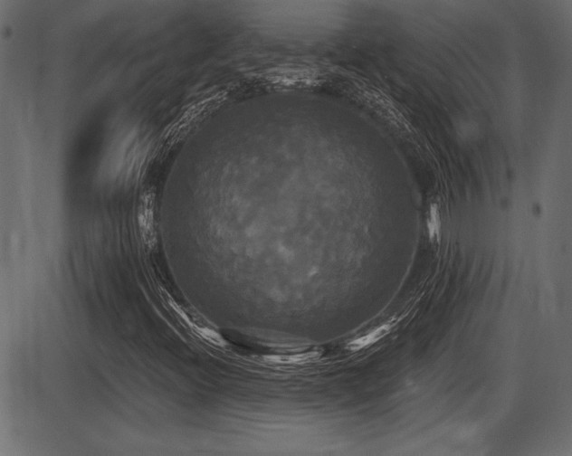 X0000087631396200705031434