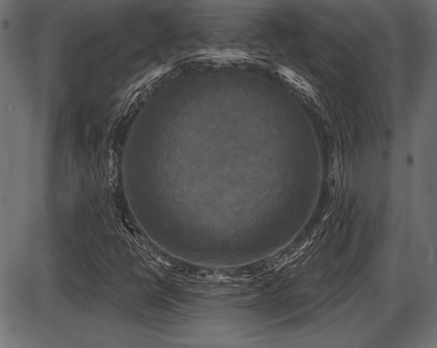 X0000087631398200705031434