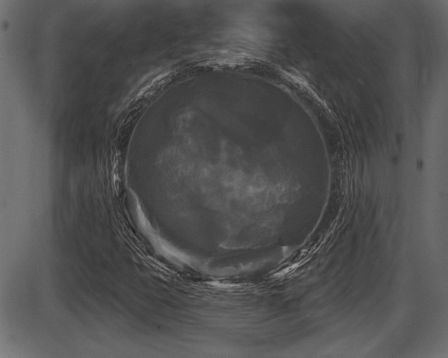 X0000087631399200705031434