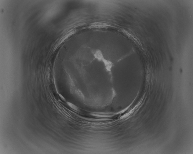X0000087631401200705031434