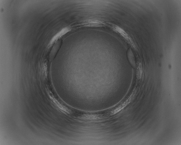 X0000087631402200705031434