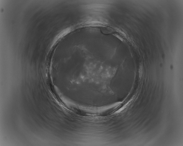 X0000087631405200705031434
