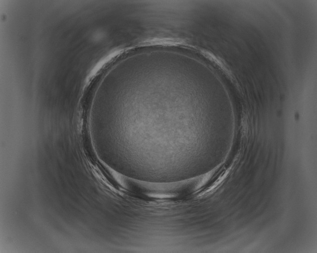 X0000087631406200705031434