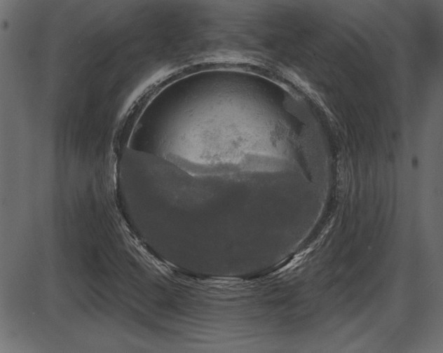 X0000087631408200705031434