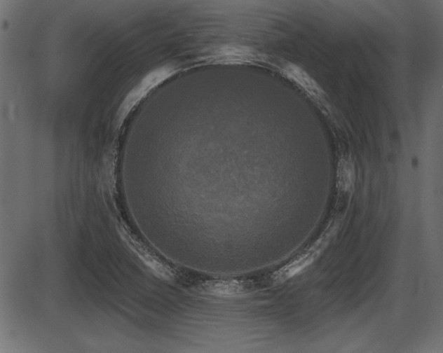 X0000087631410200705031434