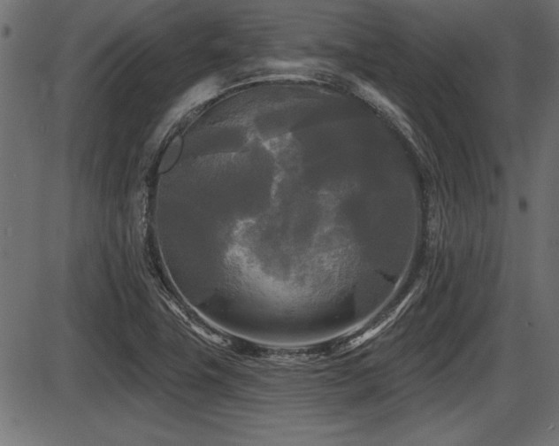 X0000087631411200705031434