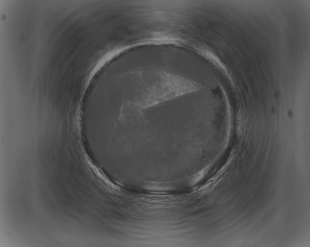X0000087631412200705031434