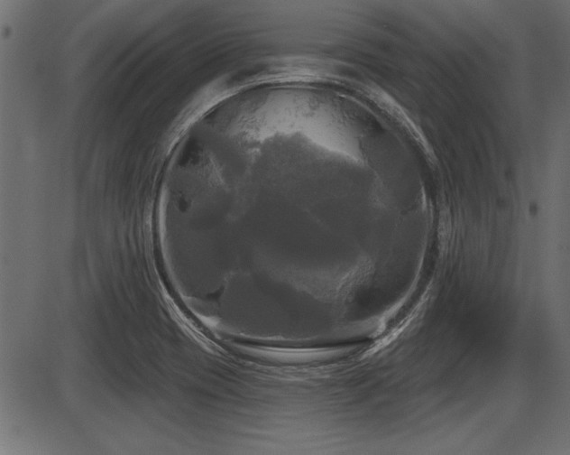 X0000087631417200705031434