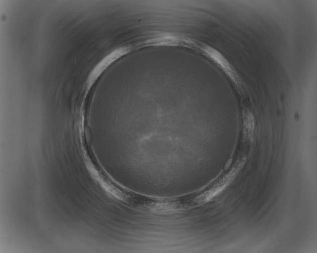 X0000087631418200705031434