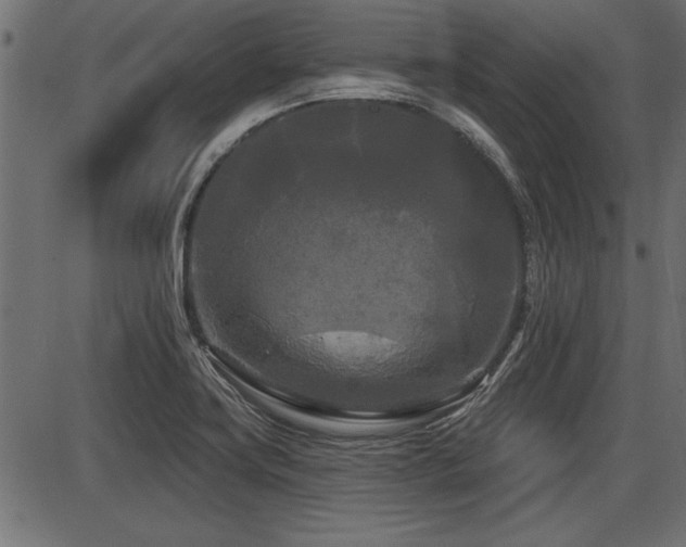 X0000087631419200705031434
