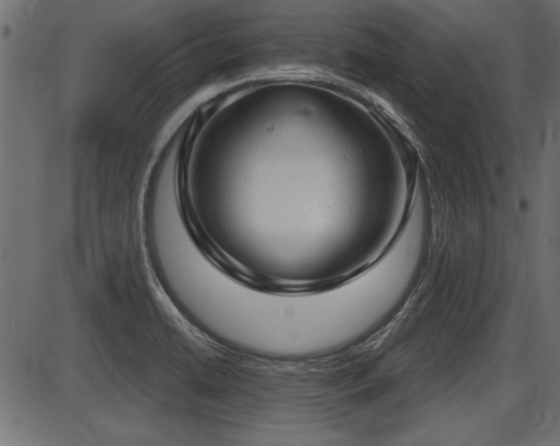 X0000087631422200705031434