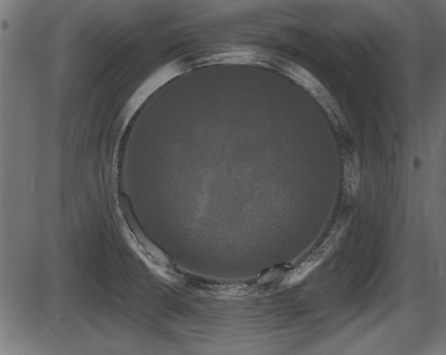 X0000087631426200705031434
