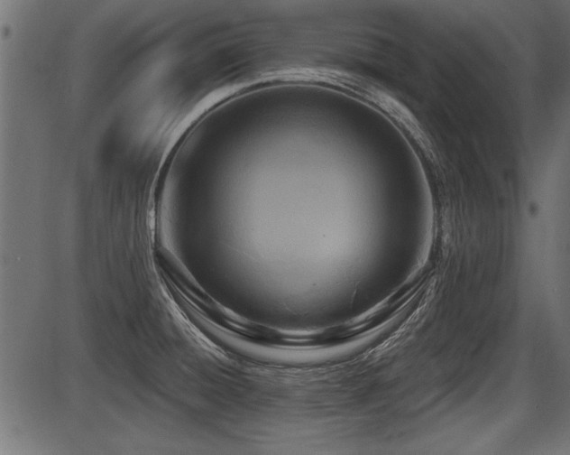 X0000087631428200705031434