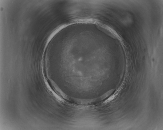 X0000087631440200705031434