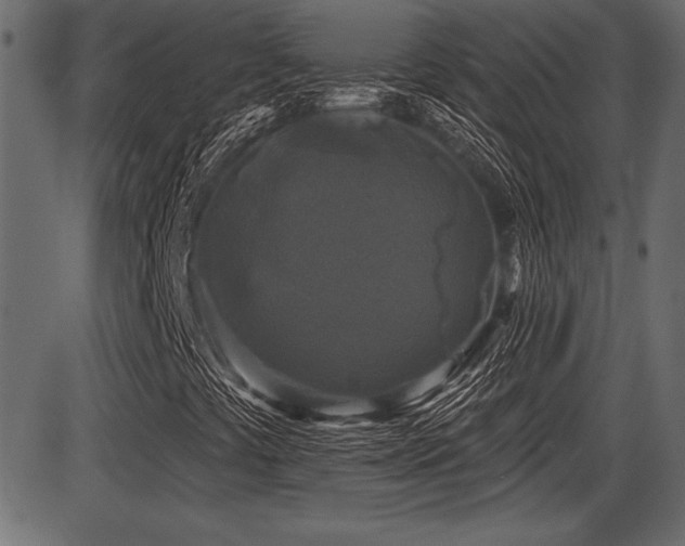 X0000087631441200705031433