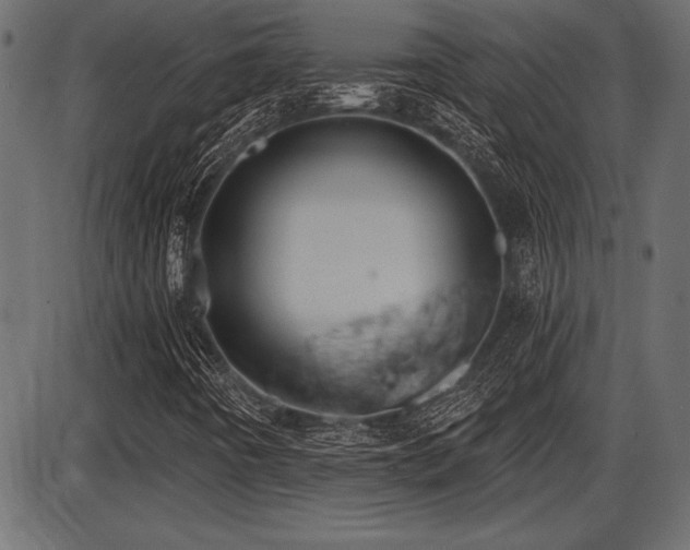 X0000087631442200705031433