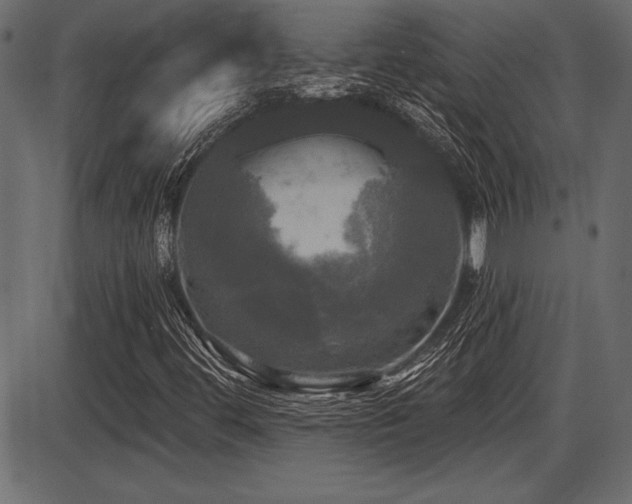 X0000087631444200705031433