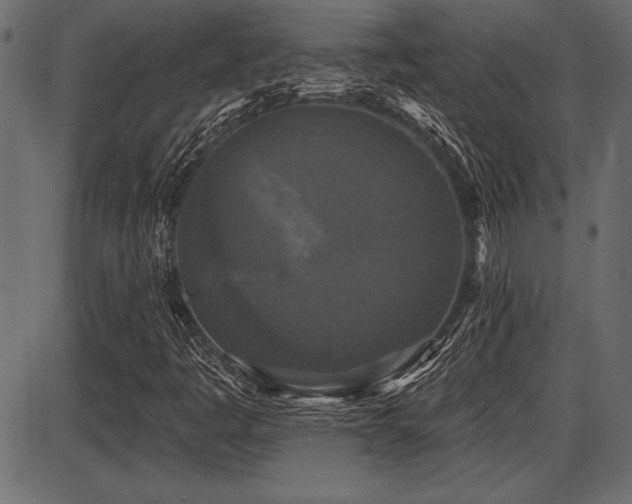 X0000087631445200705031433