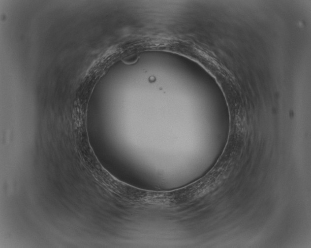 X0000087631447200705031433