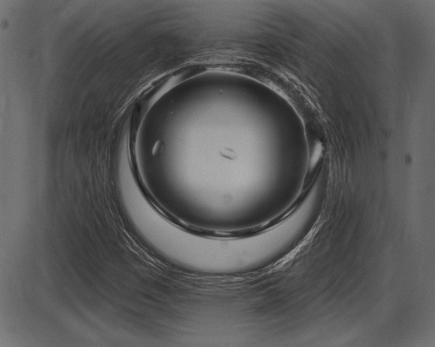 X0000087631449200705031433