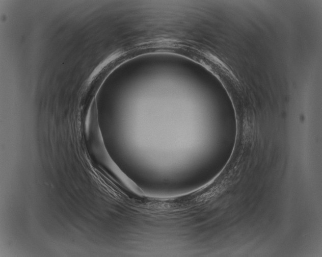 X0000087631450200705031433